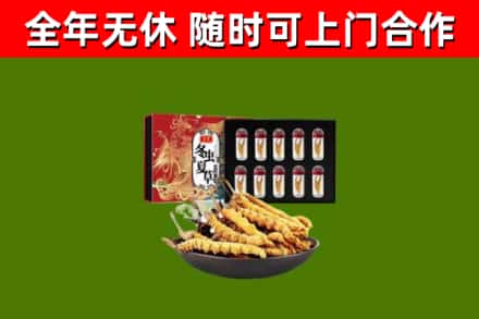 三门峡烟酒回收冬虫夏草礼盒.jpg